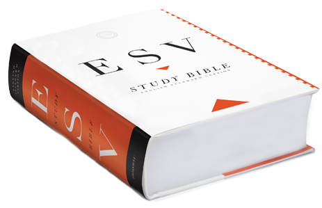 ESV Study Bible