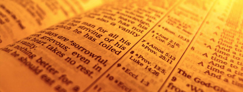 bible reading faith and facts