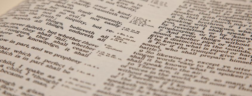 studying bible